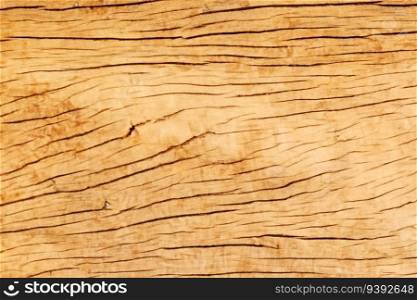 Image of wooden surface texture. Texture of wood background