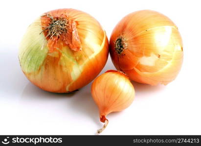 Image series of fresh vegetables on white background - onion