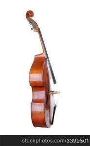 Images of the classical contrabass. Isolated on white background