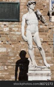 imitation of David by Michelangelo in Piazza della Signoria, Florence, Italy