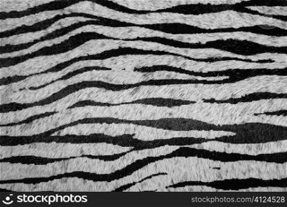 imitation zebra leather animal texture background in black and white