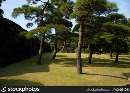 Imperior palace and garden in Tokyo - tourists attraction
