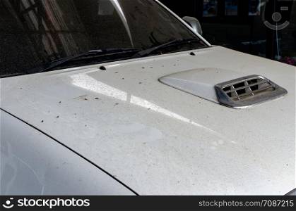 Impurities on the surface of the car.