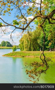 in a frame tree branch on a background of lake