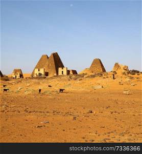 in africa sudan meroe the antique pyramids of the black pharaohs in the middle of the desert
