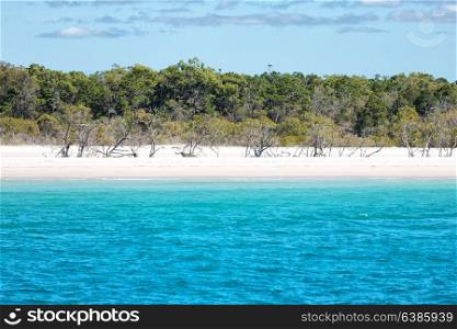 in austalia Hervey Bay the view from a boat of the beautiful beach