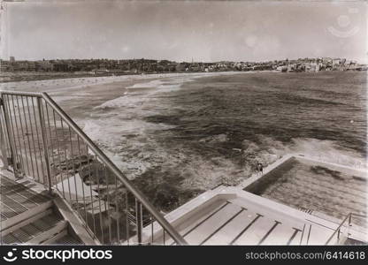 in australia bondie beach and the resort pool near ocean