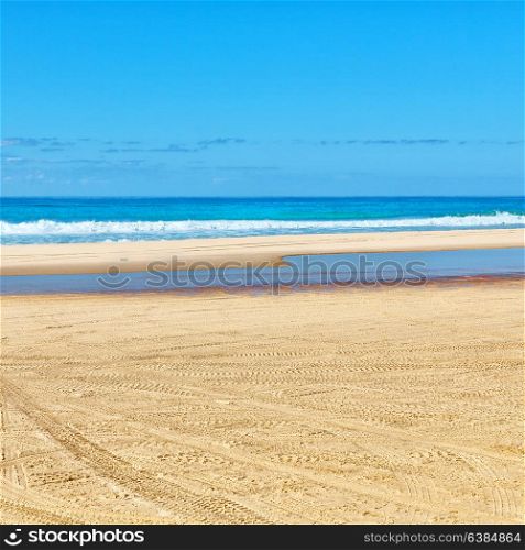 in australia fraser island and the sand track of the cars near the ocean and sky