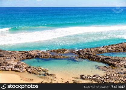 in australia fraser island the beach near the rocks in the wave of ocean