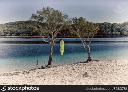 in australia lake mckenzie tourism tree and relax in the paradise