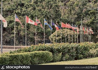 in australia lots of world flag in the park bear tree