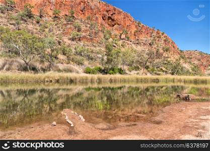in australia natuarl kings canyon and the river near the mountain in the nature