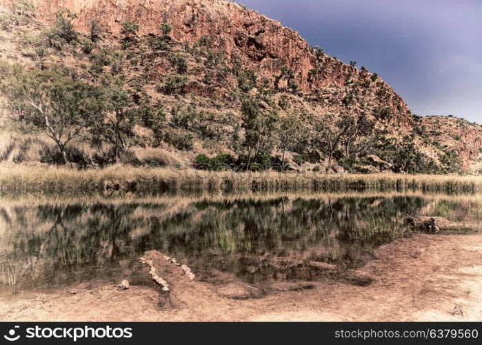 in australia natuarl kings canyon and the river near the mountain in the nature