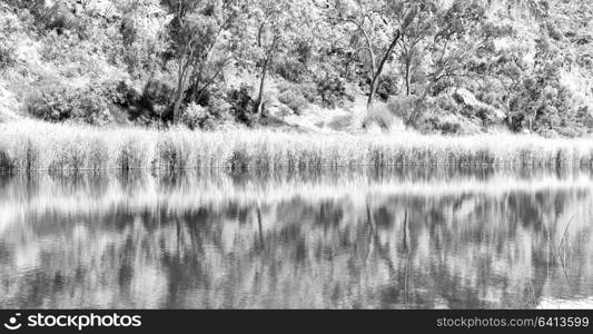 in australia natuarl kings canyon and the river near the mountain in the nature