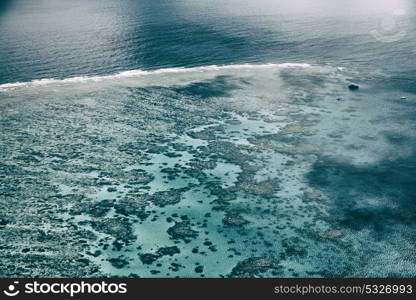 in australia natuarl park the great reef from the high concept of paradise