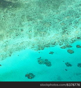 in australia natuarl park the great reef from the high concept of paradise