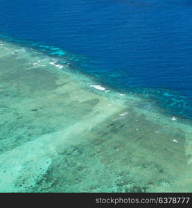 in australia natuarl park the great reef from the high concept of paradise