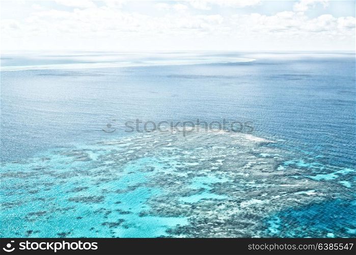 in australia natuarl park the great reef from the high concept of paradise