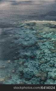 in australia natuarl park the great reef from the high concept of paradise