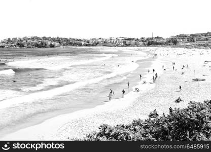 in australia people in bondie beach and the resort near ocean. in australia at the beach and the resort near ocean