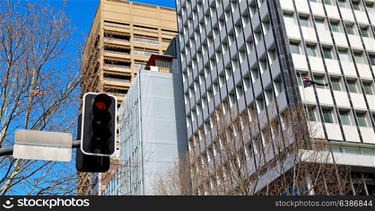in australia sydney the traffic light and background of the city