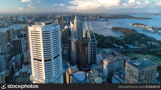 in australia sydney the view from the tower eye skyscraper and house