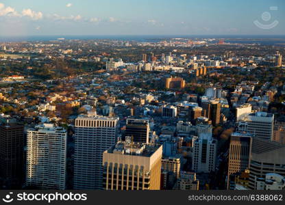 in australia sydney the view from the tower eye skyscraper and house