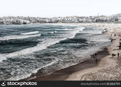 in australia the beach tourist and surfer