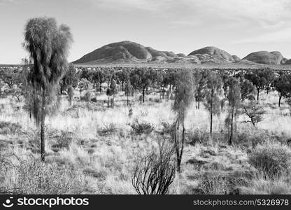 in australia the concept of wilderness environment in the landscape outback