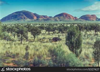 in australia the concept of wilderness environment in the landscape outback