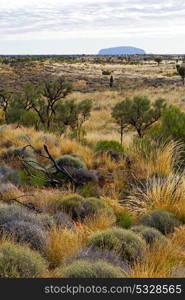 in australia the concept of wilderness environment in the landscape outback