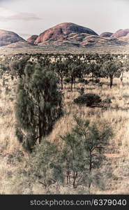 in australia the concept of wilderness environment in the landscape outback