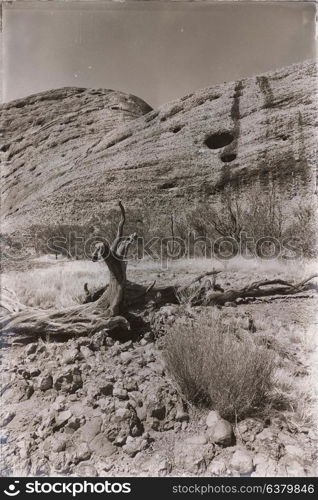 in australia the concept of wilderness environment in the landscape outback