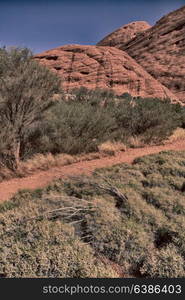 in australia the concept of wilderness environment in the landscape outback