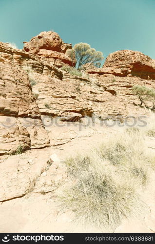 in australia the kings canyon nature wild and outback