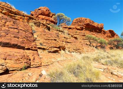 in australia the kings canyon nature wild and outback