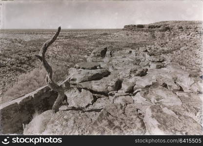 in australia the kings canyon nature wild and outback