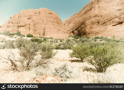 in australia the outback canyon and near mountain in the nature