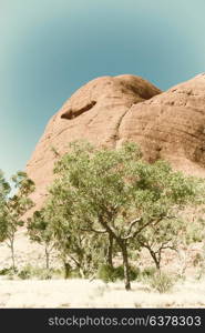 in australia the outback canyon and near mountain in the nature