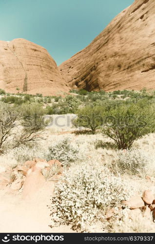 in australia the outback canyon and near mountain in the nature