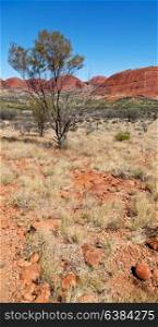 in australia the outback canyon and near mountain in the nature