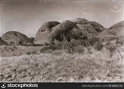 in australia the outback canyon and the dead tree near mountain in the nature