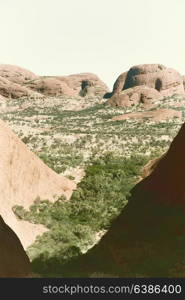 in australia the outback canyon and the tree near mountain in the nature