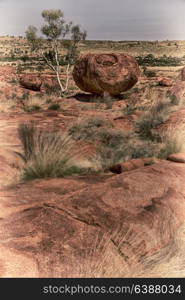 in australia the rocks of devil s marble in the northern territory