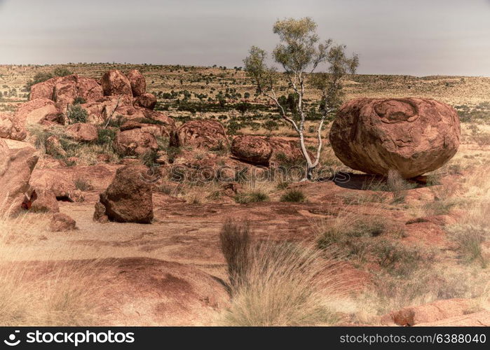 in australia the rocks of devil s marble in the northern territory