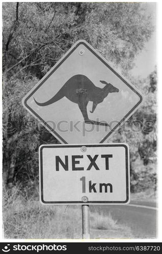 in australia the sign for wild kangaroo likee concept of safety