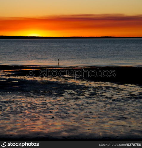 in australia the sunset in the ocean like concept of relax and holiday