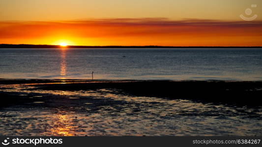 in australia the sunset in the ocean like concept of relax and holiday