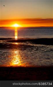in australia the sunset in the ocean like concept of relax and holiday