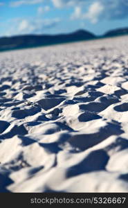 in australia Whitsunday Island and the texture abstract of the white beach